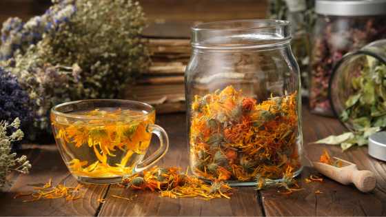 les infusions aux plantes sont de bonnes alternatives au thé le soir, certaines permettent même de vous relaxer pleinement avant d'aller vous coucher.