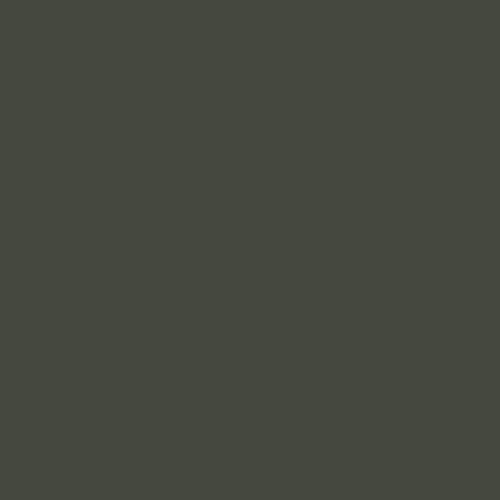 Ripe Olive Paint Sample by Sherwin-Williams (6209) | Peel & Stick Paint  Sample