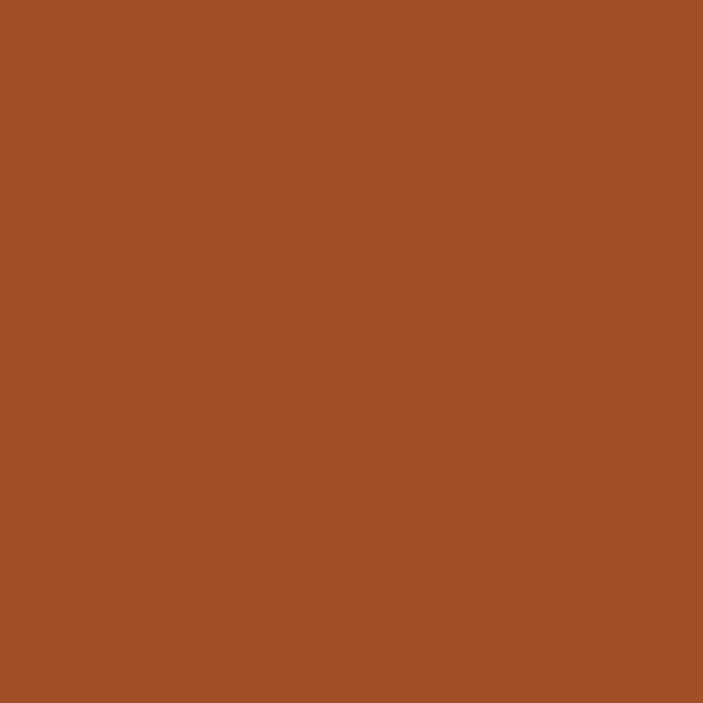 Aztec Brick Paint Sample by Benjamin Moore (2175-10)