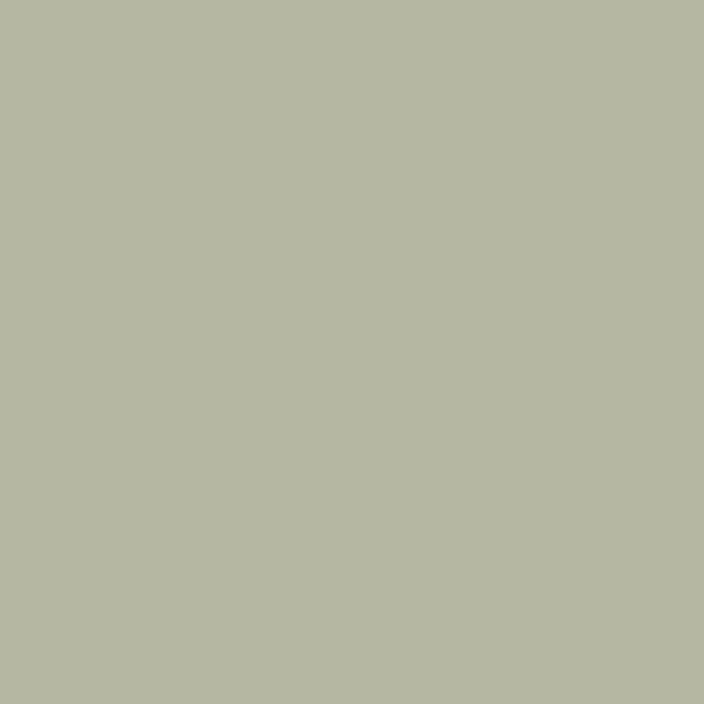 Silver Mist (1619): 9x14.75 – Benjamin Moore x Samplize