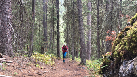 female running in forest