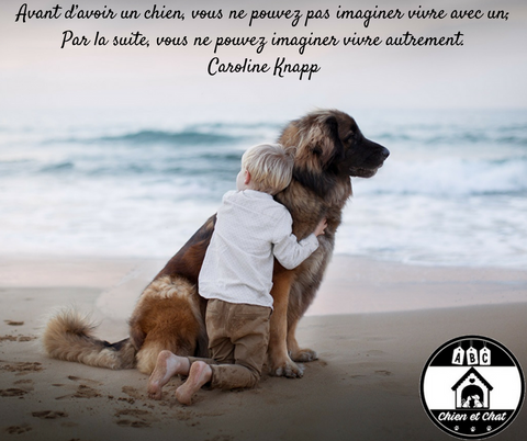 Avant d’avoir un chien, vous ne pouvez pas imaginer vivre avec un; Par la suite, vous ne pouvez imaginer vivre autrement. Caroline Knapp