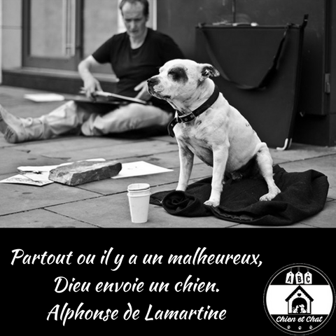 Partout ou il y a un malheureux, Dieu envoie un chien. Alphonse de Lamartine