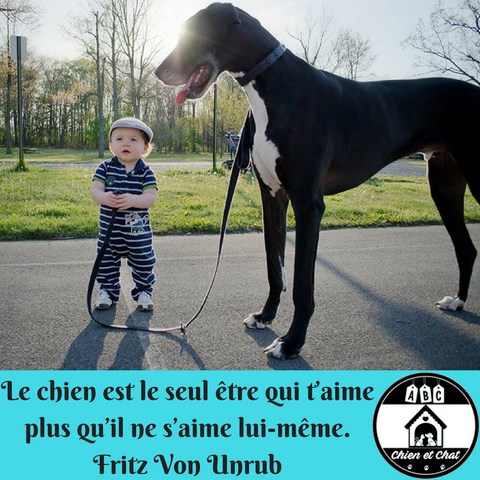 Le chien est le seul être qui t'aime plus qu'il ne s'aime lui-même. Fritz Von Unrub