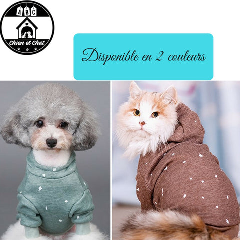 Vetements Pour Chat Livraison Gratuite Abc Chien Et Chat