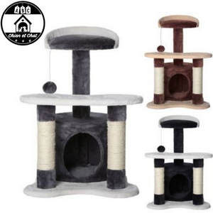 Arbres A Chat Griffoir Pour Chat Et Chaton Livraison Gratuite Abc Chien Et Chat