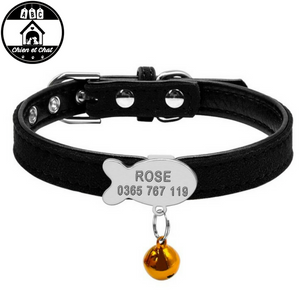 Collier Personnalise Pour Chat Livraison Gratuite Abc Chien Et Chat