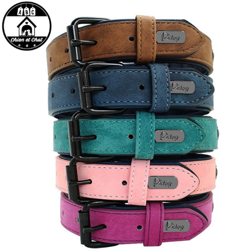 Collier Personnalise Pour Chien Laisse Assortie Livraison Gratuite Abc Chien Et Chat