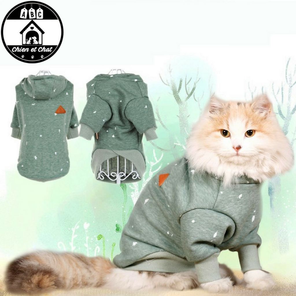 Sweat A Capuche Pour Chien Et Chat Livraison Gratuite Abc Chien Et Chat