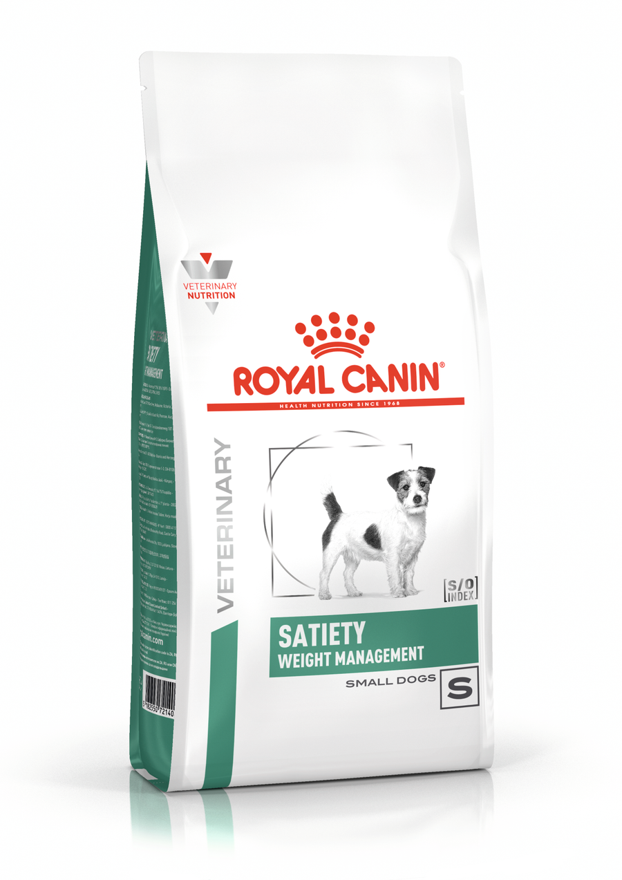 royal canin kidney care dog