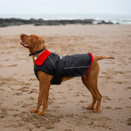 dryrobe® Dog Coat, Black/Red — RNLI Shop