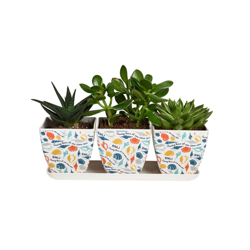 Vaso Amsterdam 40 cm - Ecopots - Planteon