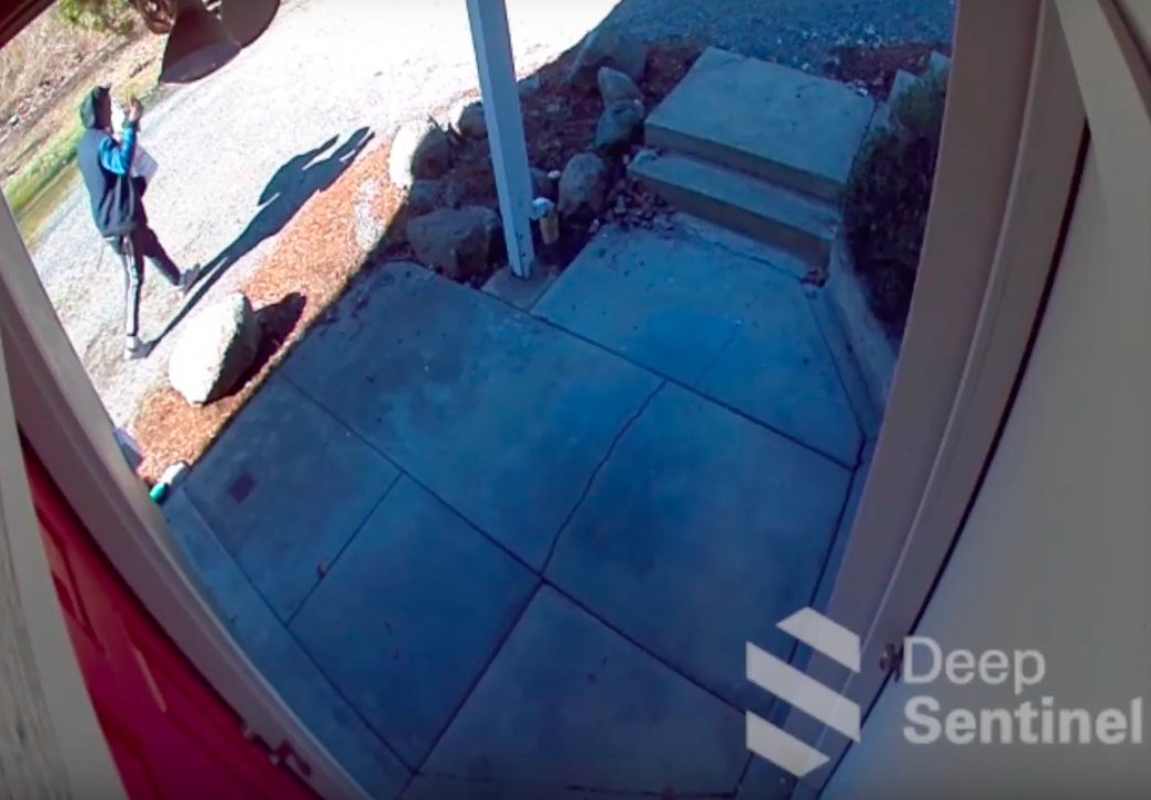 Deep Sentinel Thwarts Potential Intruder in Seattle Suburb