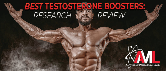 Duplikere Fremmedgørelse Trickle Best Testosterone Boosters: Research Review