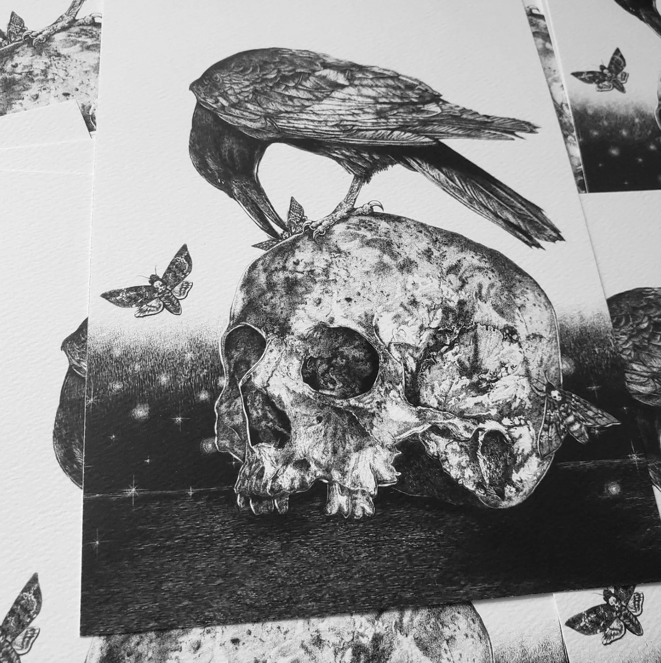 Crow and Skull