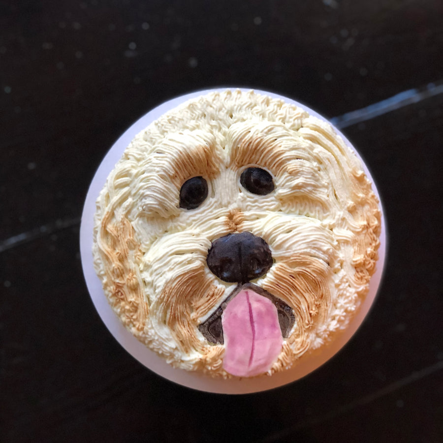 doodle dog bakery