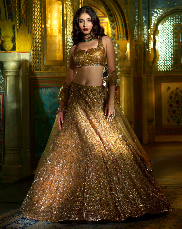 Biscotti Gold Sequin Lehenga Set | Gold lehenga bridal, Gold lehenga, Sequin  lehenga