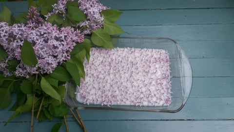 How to Make Lilac Perfume