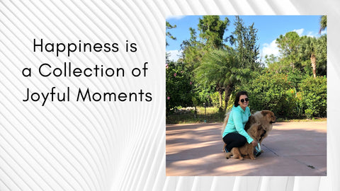 Happiness is a Collection of Joyful Moments - N Baranes