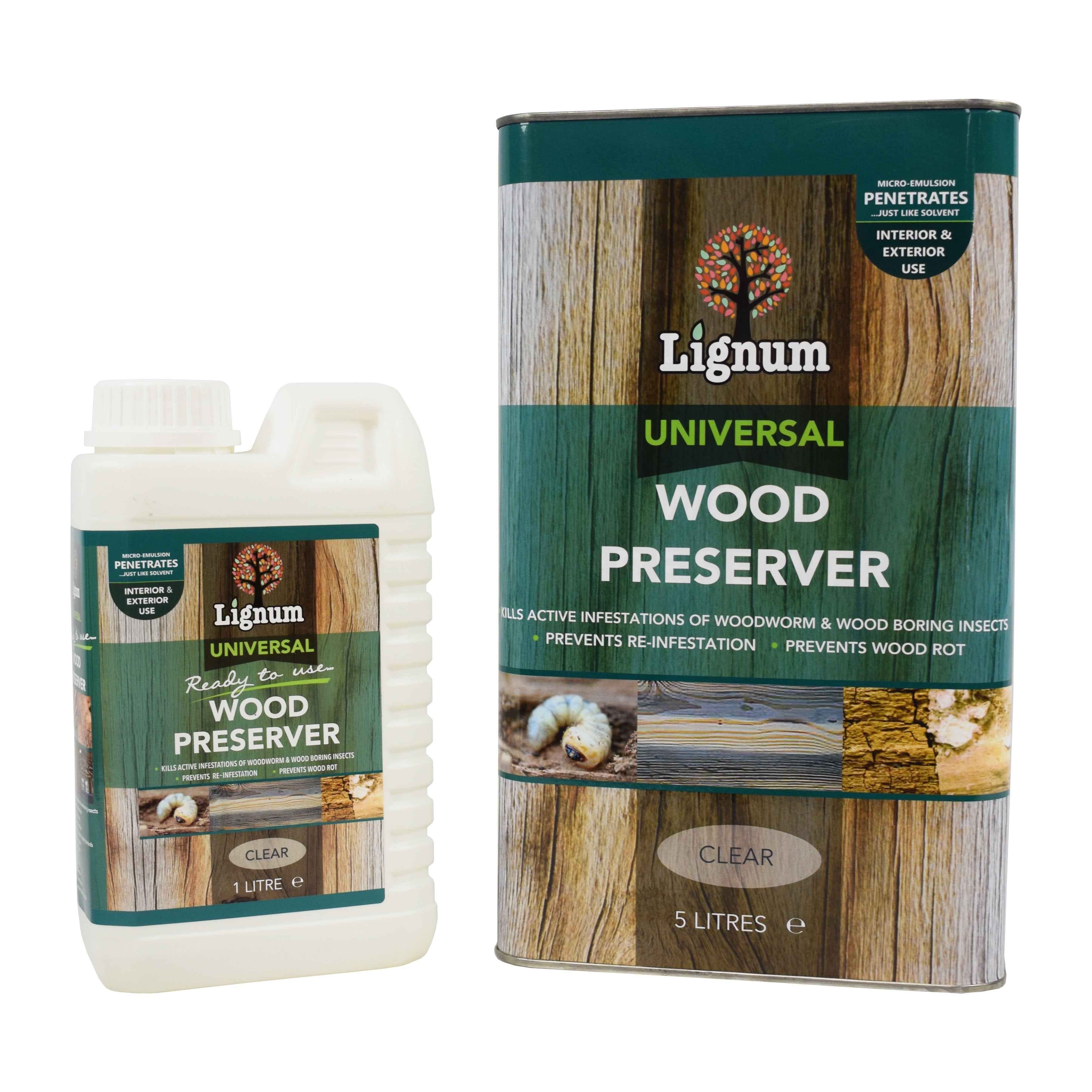 New Exterior Woodworm Treatment with Simple Decor