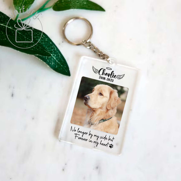 Dog Cat Photo Couple Transparent Acrylic Keychain