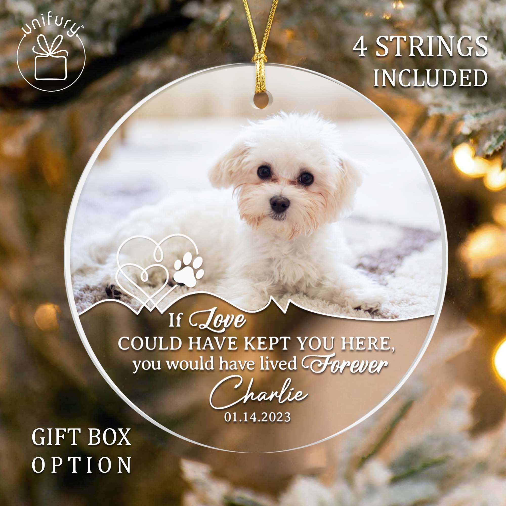 Custom Pet Christmas Ornament, Clear Acrylic Holiday Dog / Cat Decorat –  Elation Factory Co
