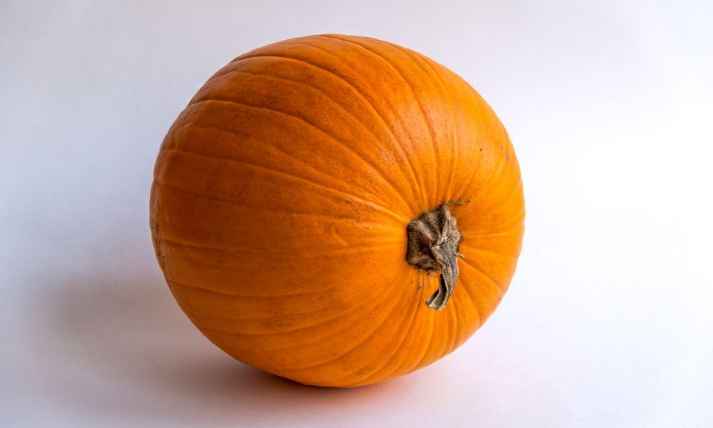 Howden-Field-pumpkin