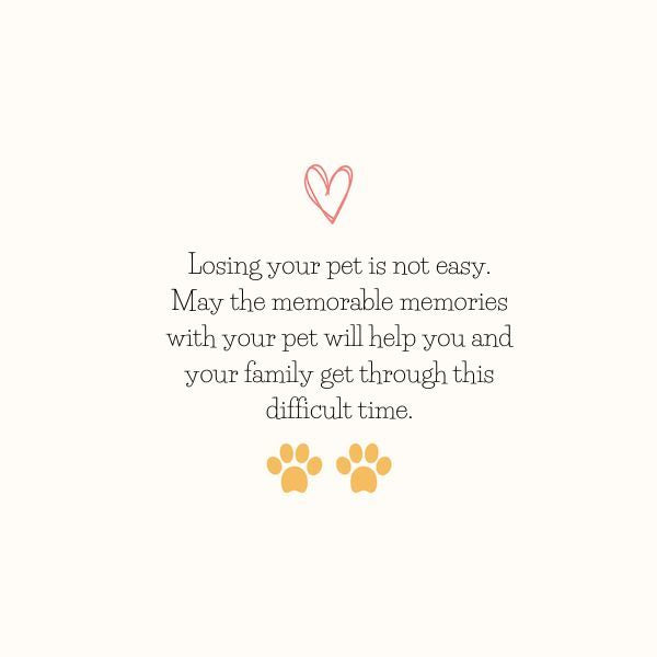 Condolence message for loss of dog