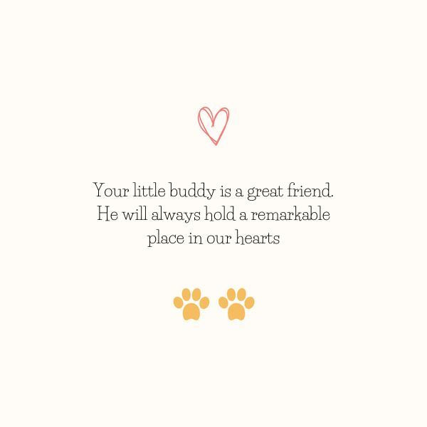 dog loss quotes sayings