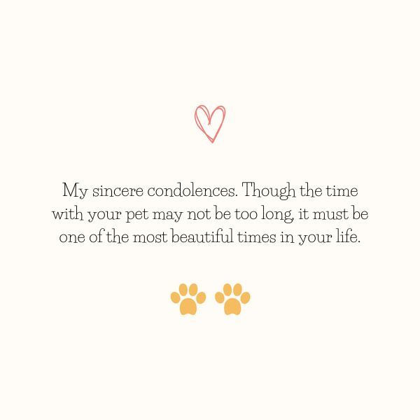 Condolence message for pet loss