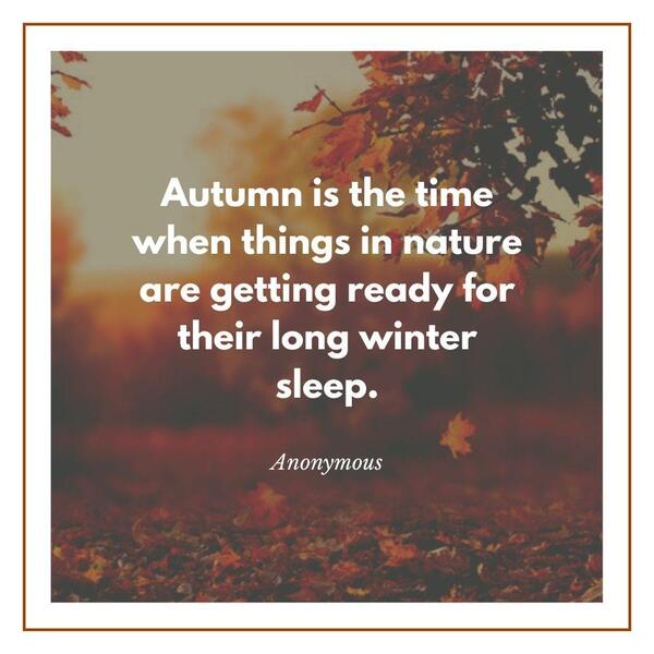 Cute fall quotes
