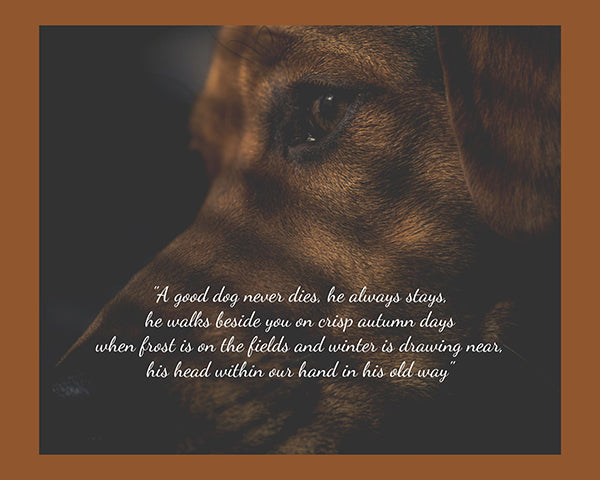 Death loss of a dog quotes
