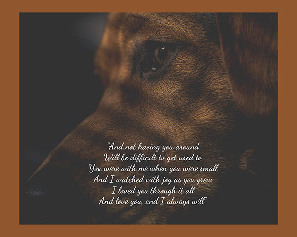 Death of a dog quote