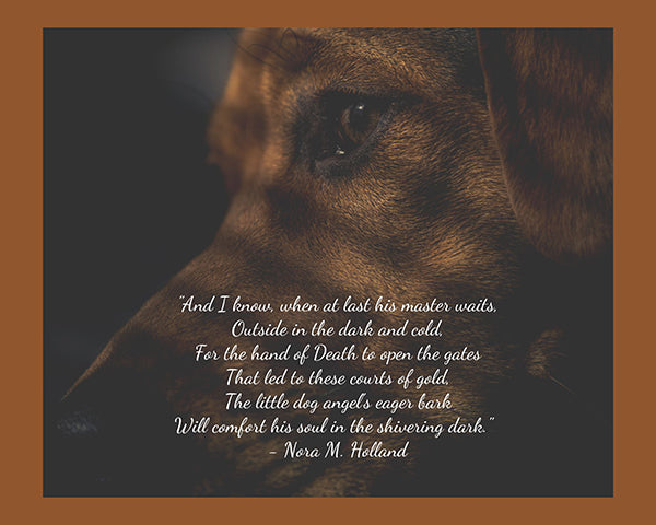 Dog death anniversary quotes