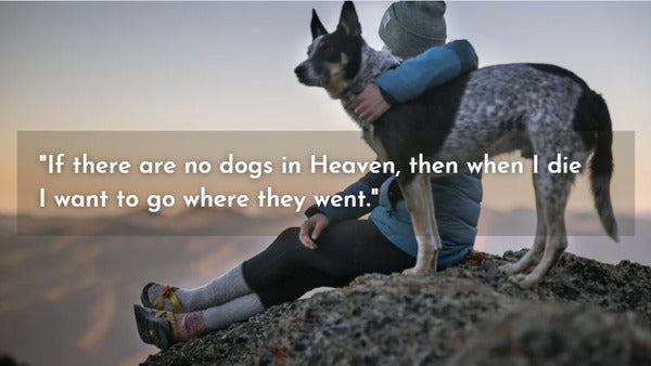 Dog quotes love