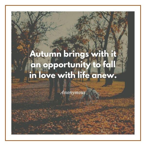 Fall images and quotes