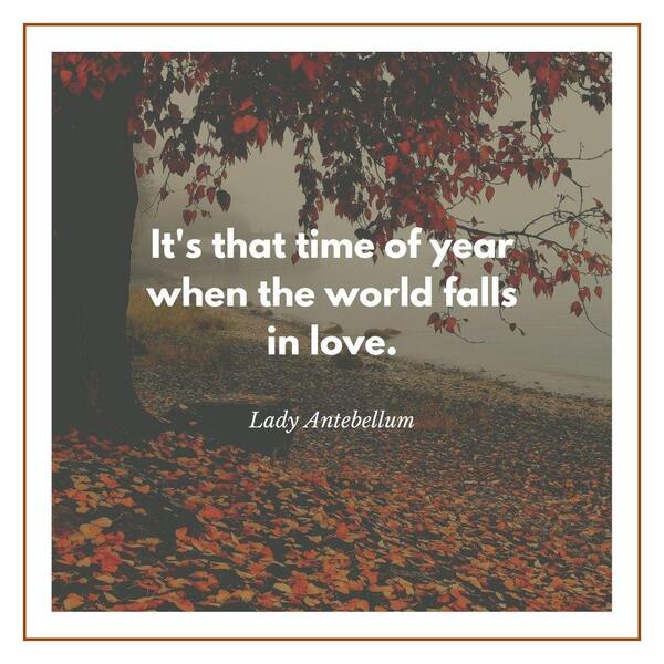 Fall love quotes