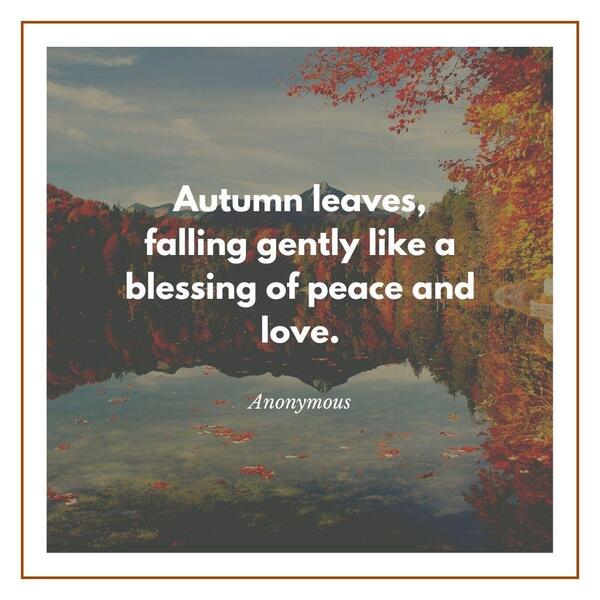 Fall quote