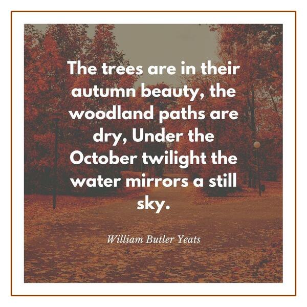 Fall quotes for instagram