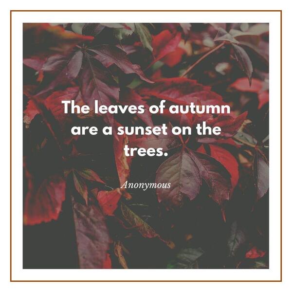 Fall quotes