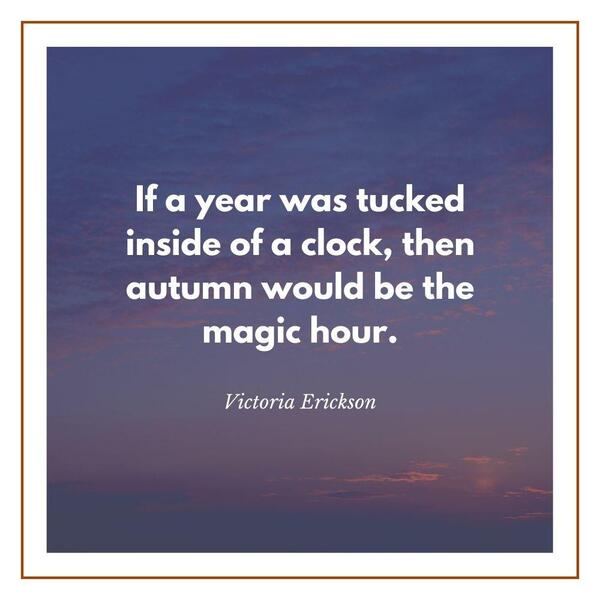 Funny fall quotes sayings
