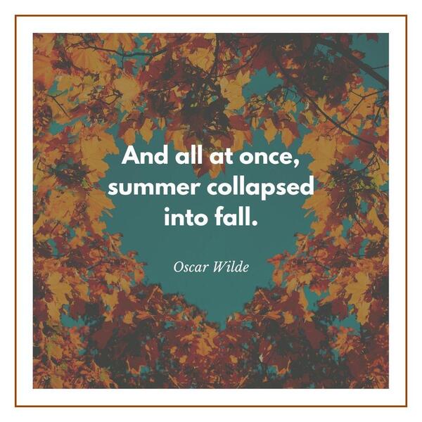 Funny quotes about fall