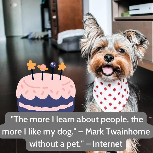 Happy birthday dog quotes