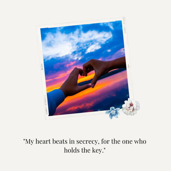 Hidden crush secret love quotes