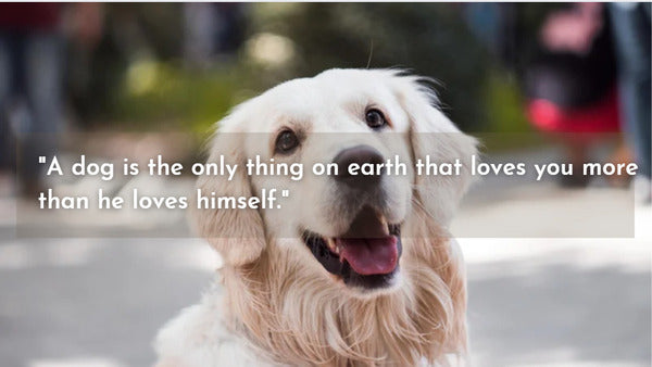 Loving quotes for dogs