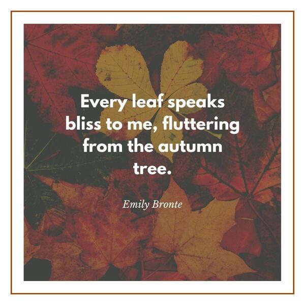 Quotes about autumn and life