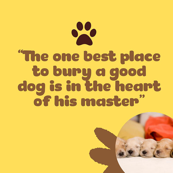 Quotes about loss of a pet dog