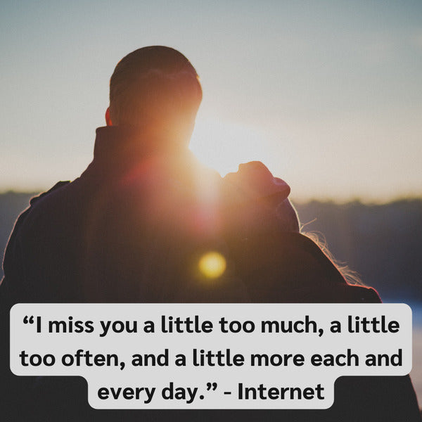 Quotes about missing someone you love