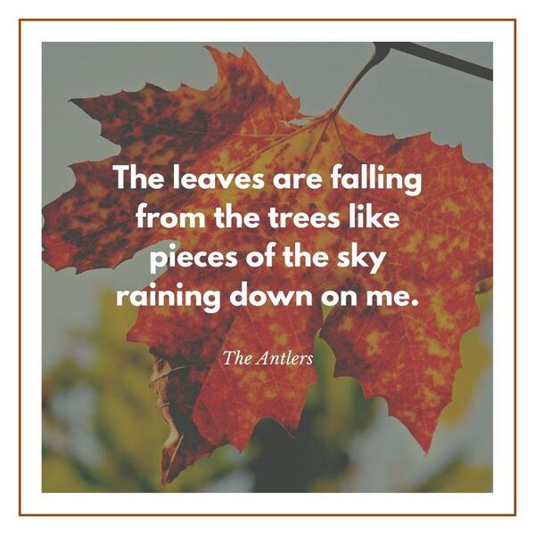 Quotes falling out of love