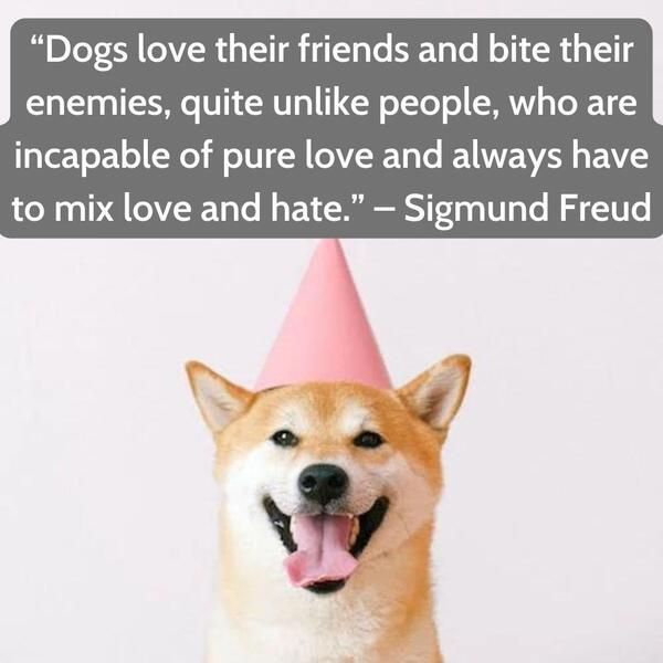 Quotes for dogs birthday